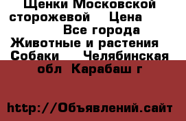 Щенки Московской сторожевой  › Цена ­ 25 000 - Все города Животные и растения » Собаки   . Челябинская обл.,Карабаш г.